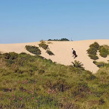 Apartment La Casita De Diana Laredo, Casco Antiguo, Playa Cercana, Parking Privado A 300m Laredo