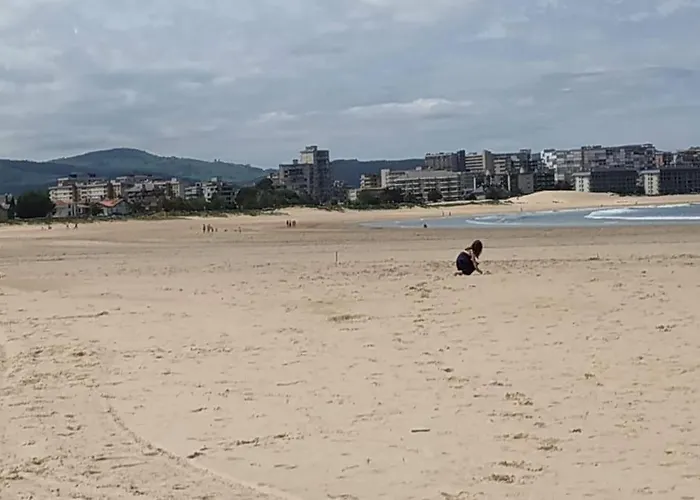 La Casita De Diana Laredo, Casco Antiguo, Playa Cercana, Parking Privado A 300m